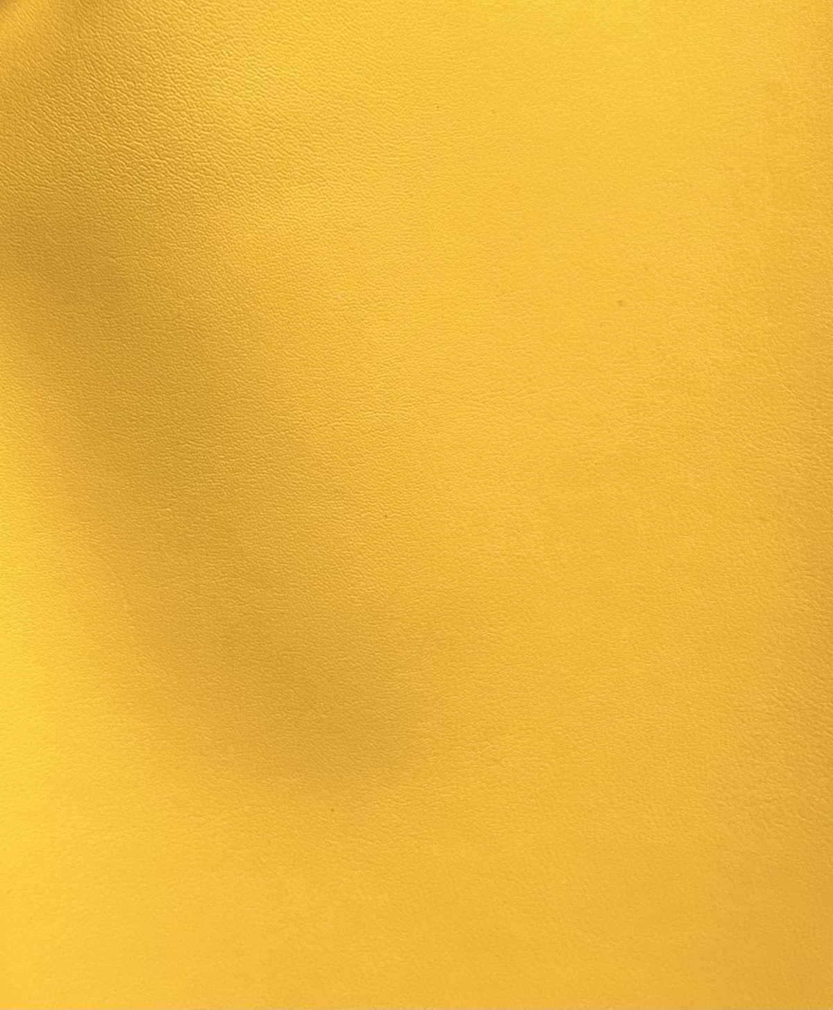 Mustard Yellow — Free Port texture