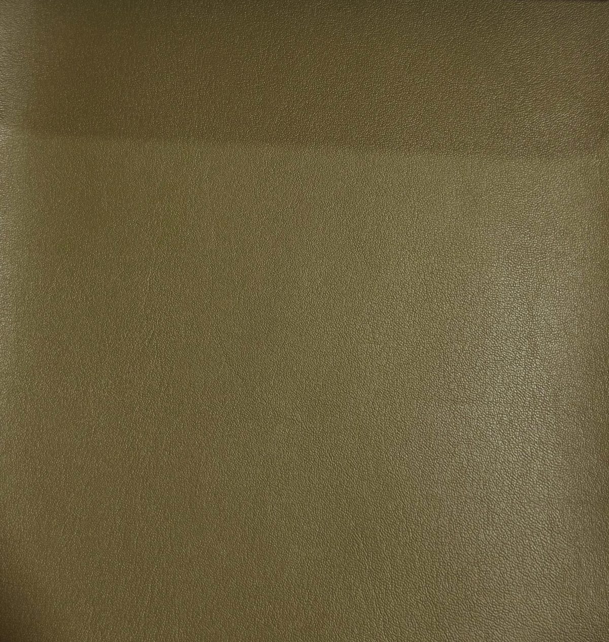 Burnt Olive — Free Port texture