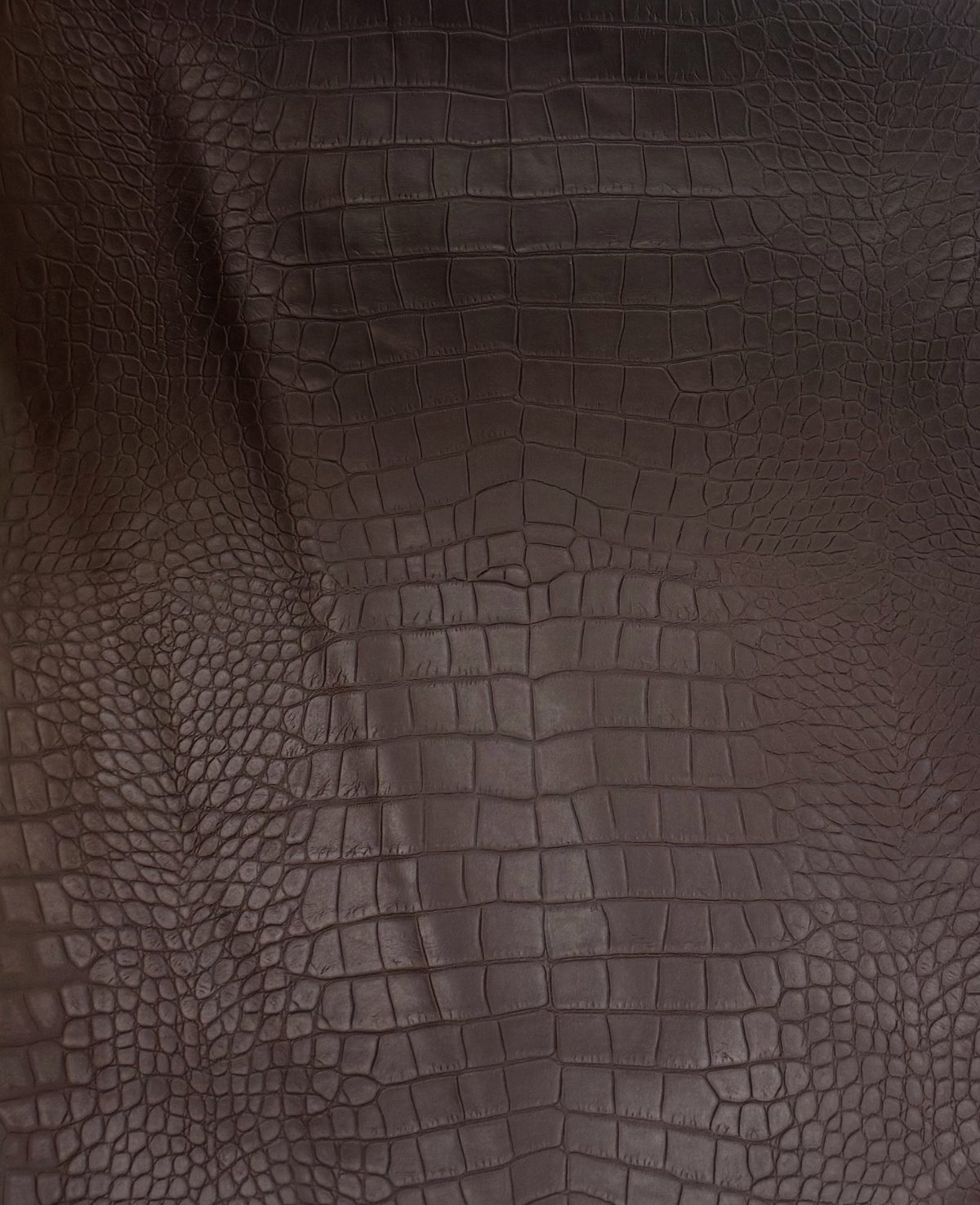 Espresso Croco — Crocodile texture