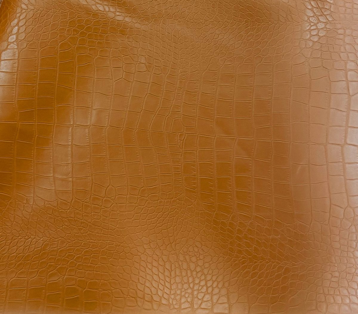 Tan Croco — Crocodile texture