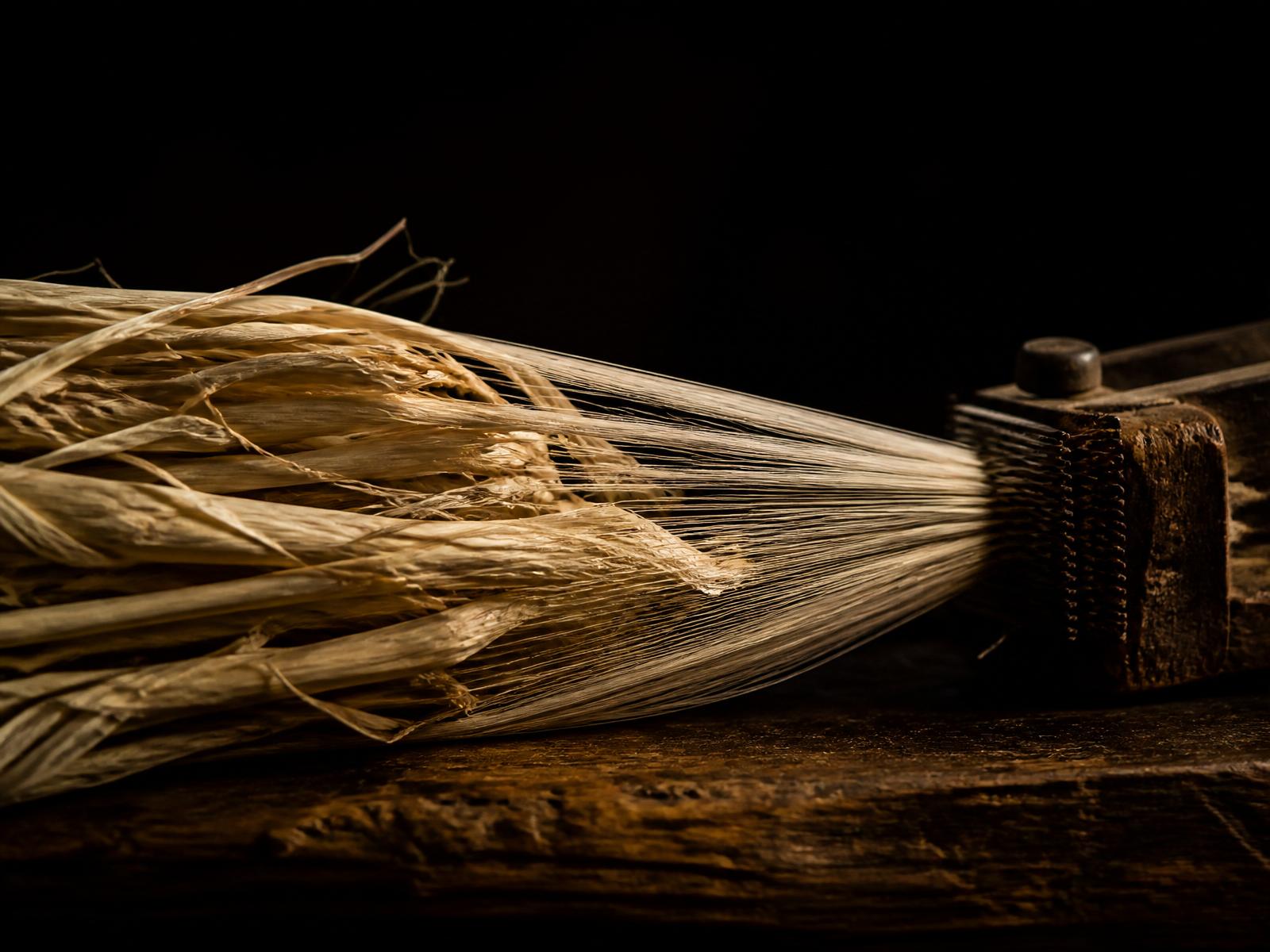 The Fibre